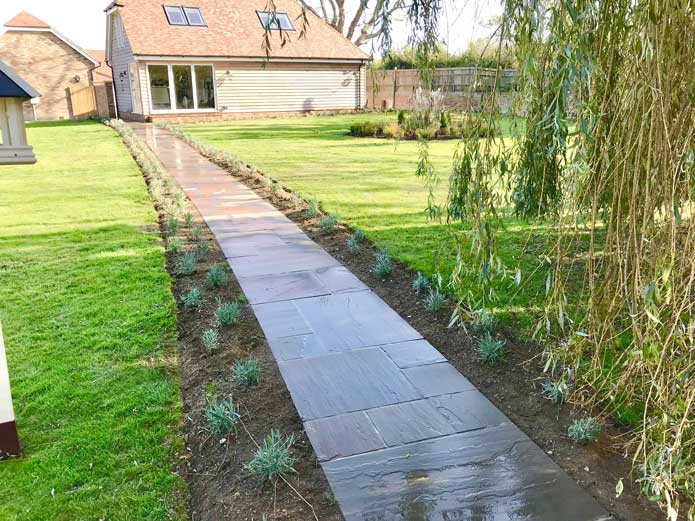 A newly built garden path with small shrubs planted on either side